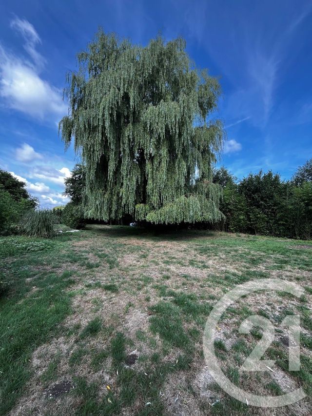 maison à vendre - 8 pièces - 280.0 m2 - FOUCAUCOURT SUR THABAS - 55 - LORRAINE - Century 21 L'Immobilière Saint Paul